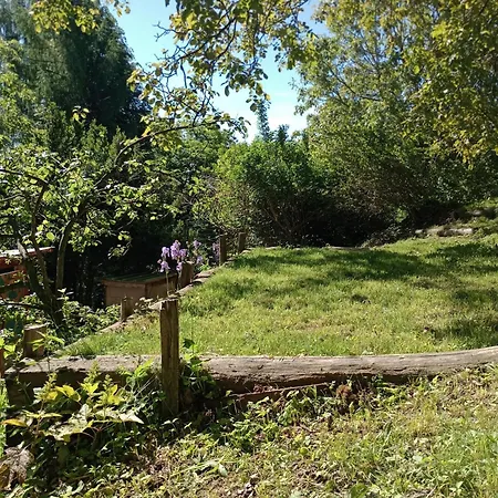 Nel Bosco *