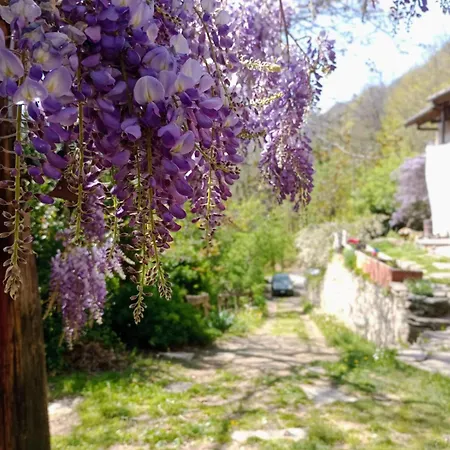 Nel Bosco Torre Pellice
